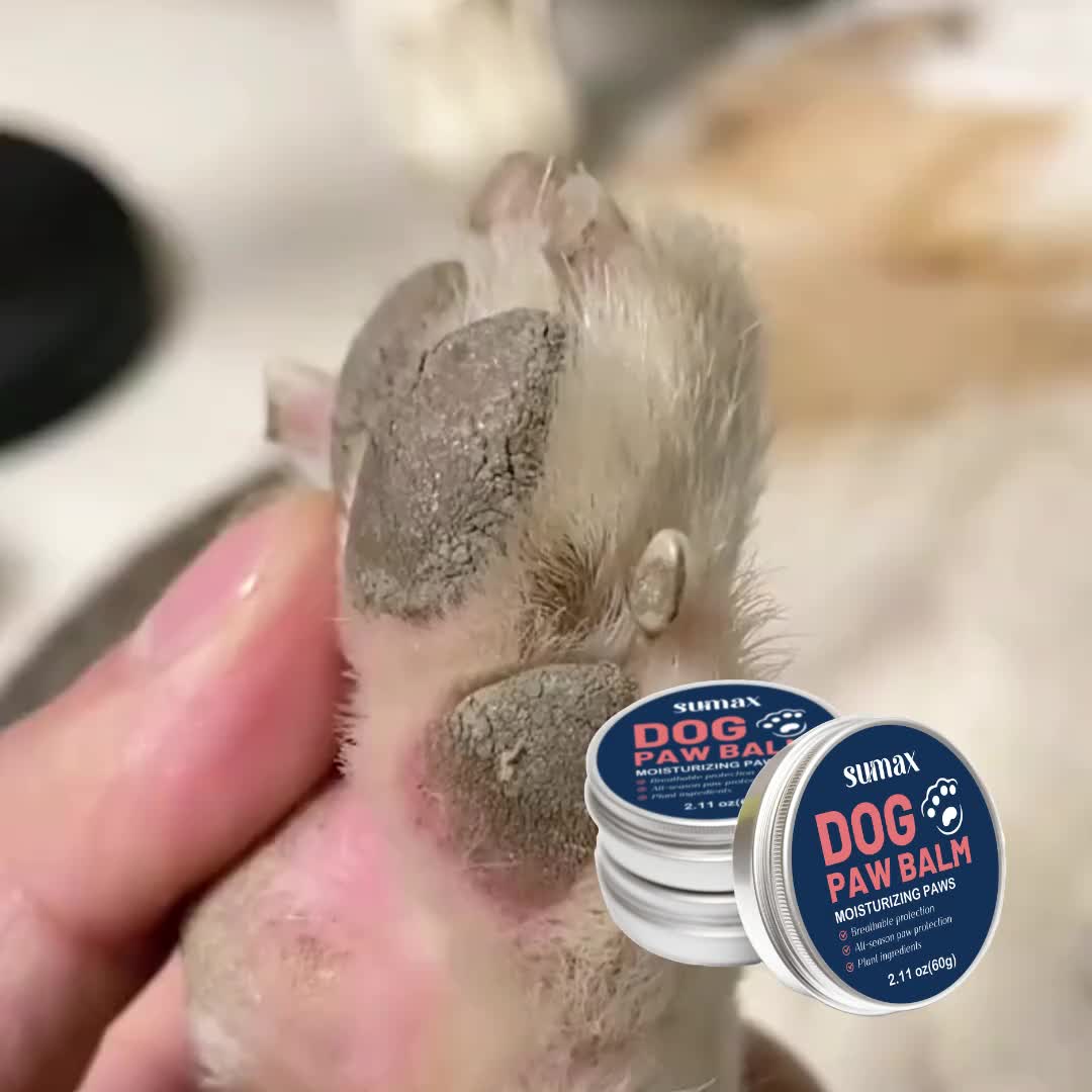 Baume pour pattes et truffe de chien - Hydratation intense grâce à la vitamine E et à l'huile de jojoba