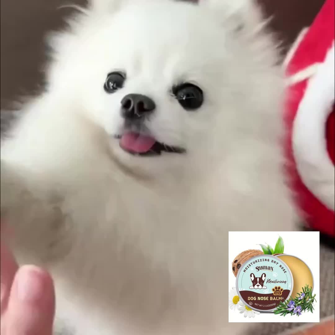 Baume pour pattes et truffe de chien à l'huile de coco - Hydratation intense grâce à la vitamine E et à l'huile de jojoba