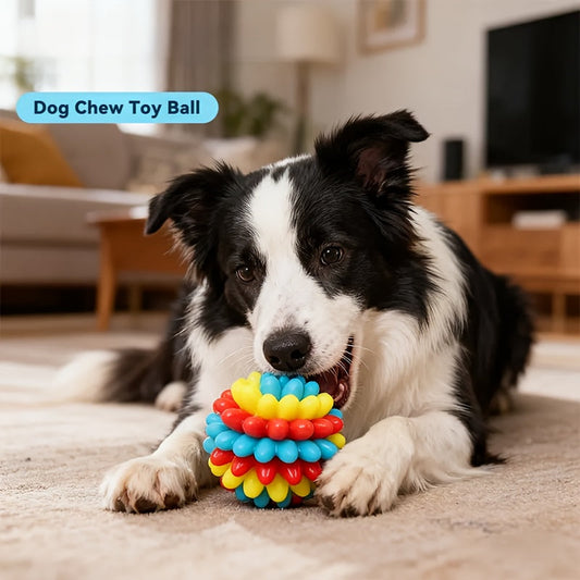 Balle à mâcher résistante – Nettoyage des dents – photo produit 2