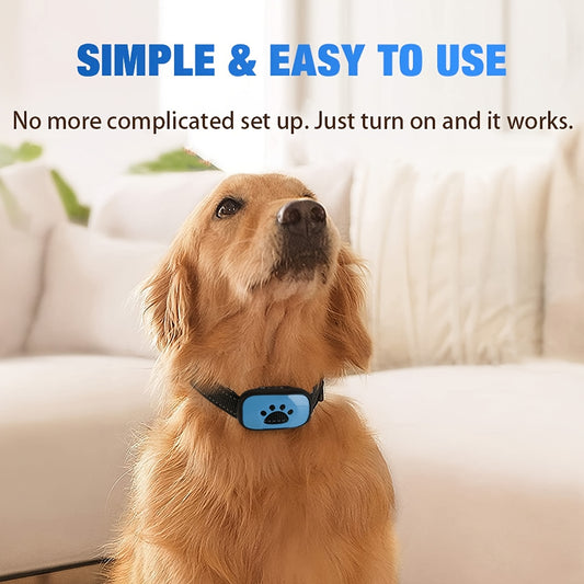 Collier anti-aboiement intelligent pour chien, système de vibration, indolore, rechargeable par USB, diverses couleurs