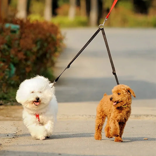 Laisse double pour 2 chiens – Promenade – photo produit 2