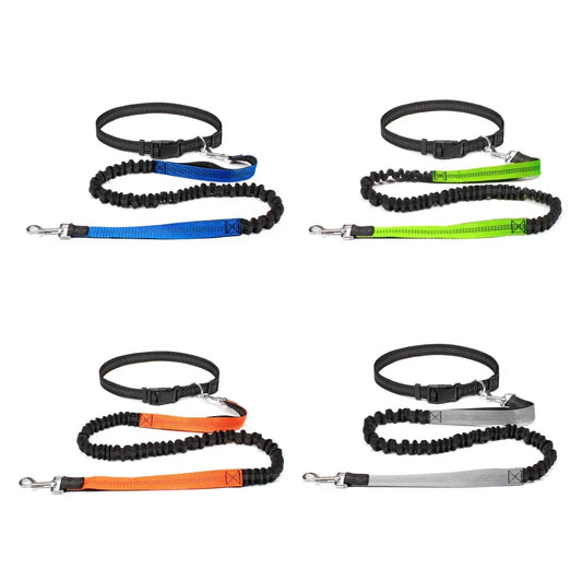 Laisse mains libres pour chien – Promenade & jogging – photo produit 2