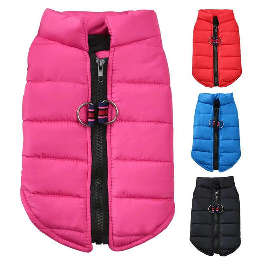 Manteau coupe-vent – Petit chien – photo produit 2
