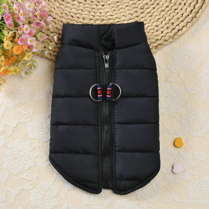 Manteau coupe vent pour petits chiens.