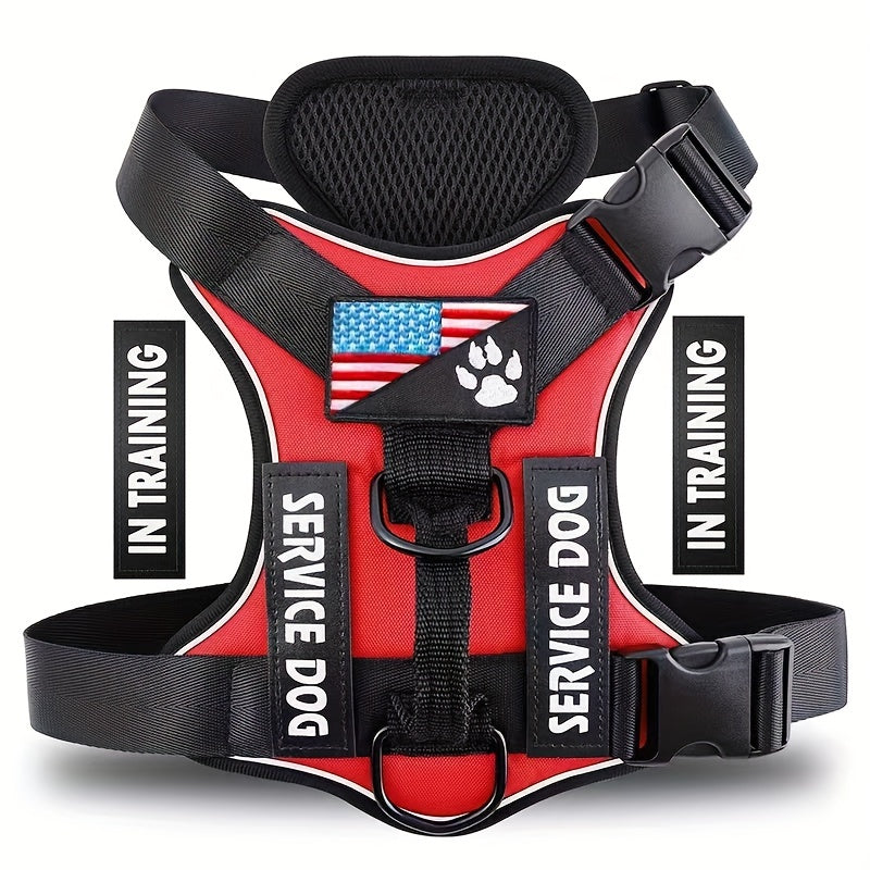 Balade / Walk (harnais, laisse, longe,...)