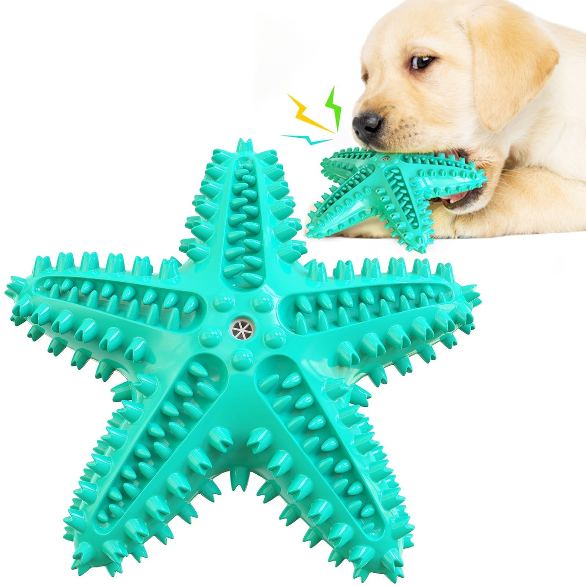 Étoile de mer sonore pour chien – Jouet à mâcher – vue principale