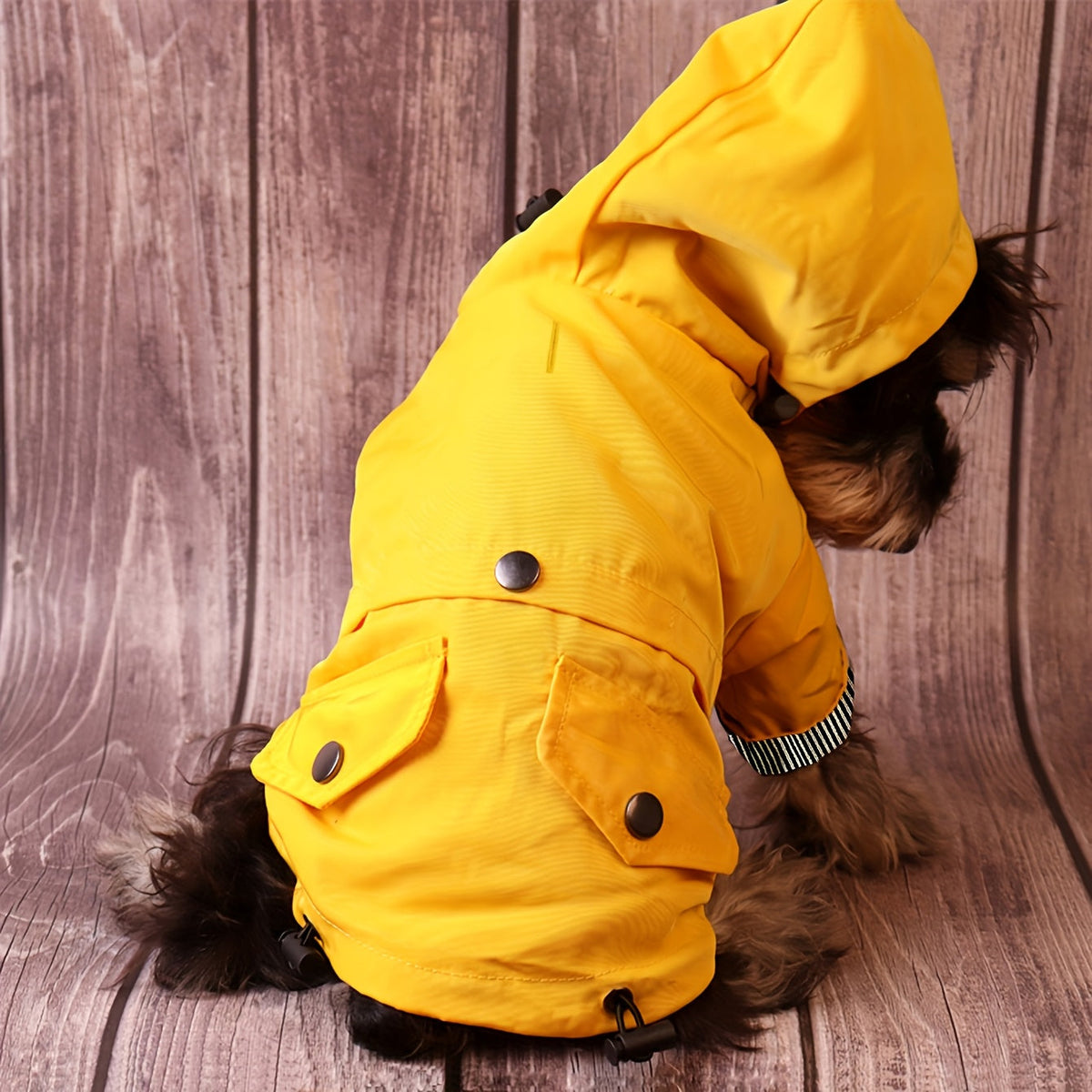 Veste imperméable rayée – Petit chien – photo produit 7