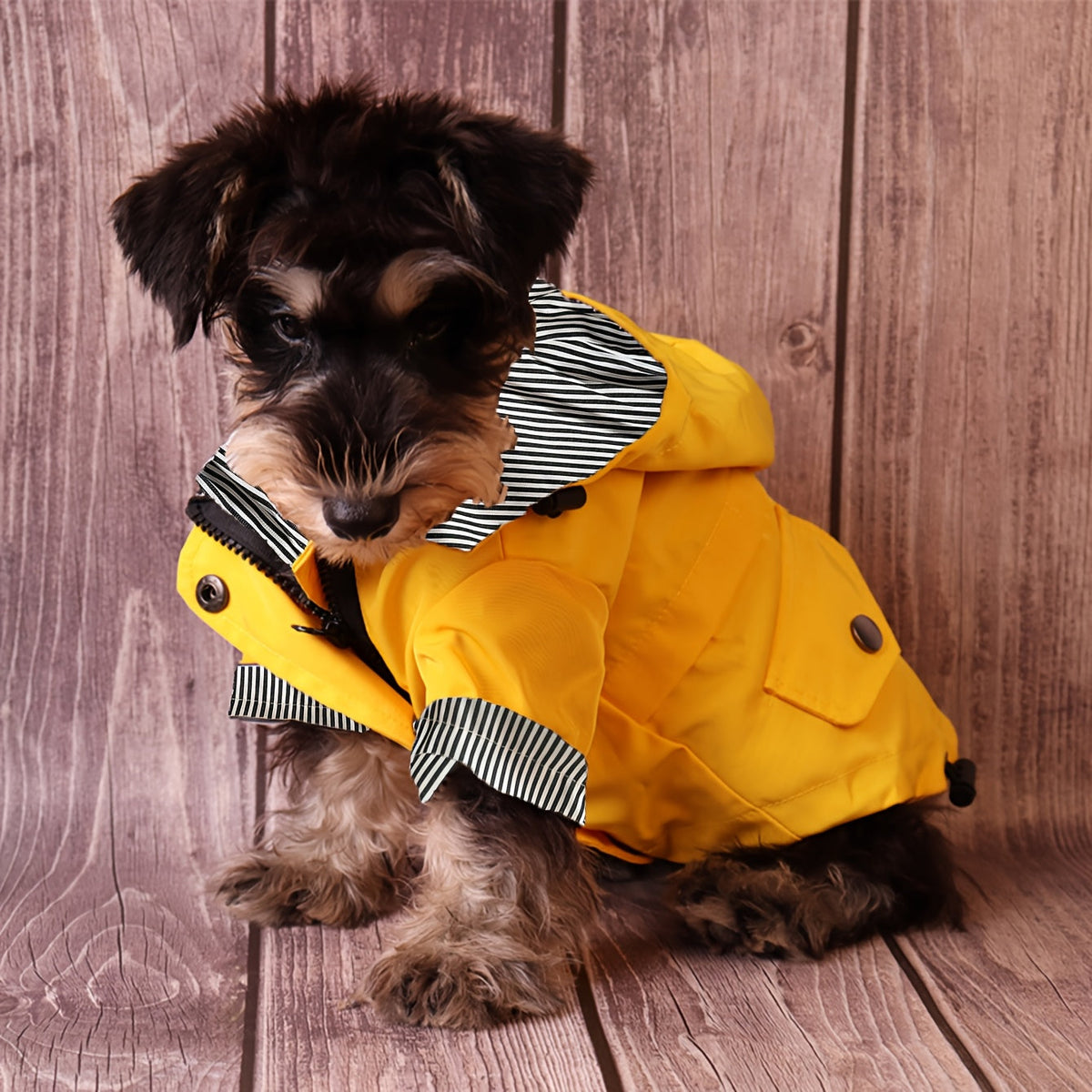 Veste imperméable rayée – Petit chien – photo produit 2