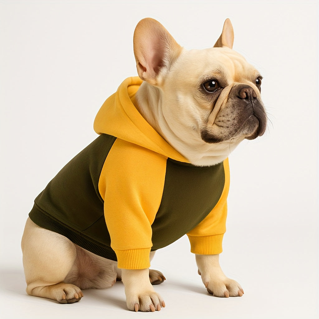 Sweat classique à capuche & poches – Chien – photo produit 5