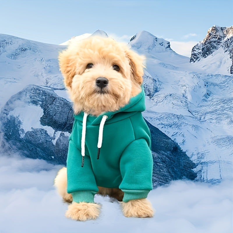Sweat à capuche en laine mélangée – Petit chien – photo produit 4