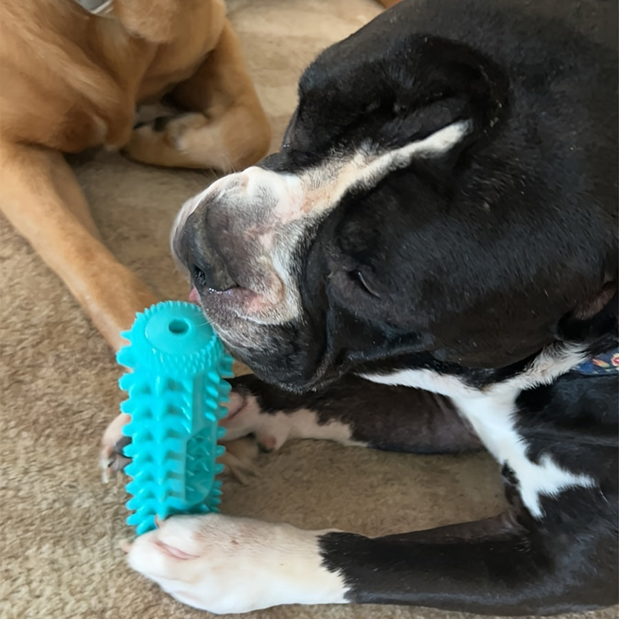 Bâton à mâcher pour chien – Nettoyage des dents – photo produit 10