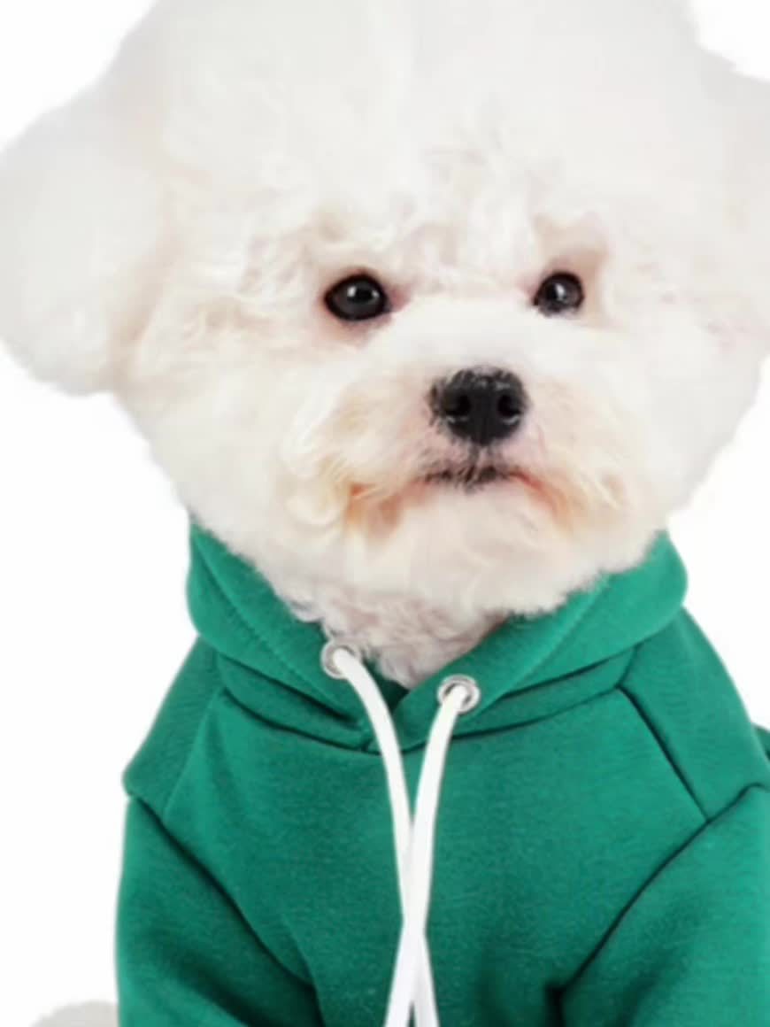 Sweat à capuche en laine mélangée – Petit chien – photo produit 7