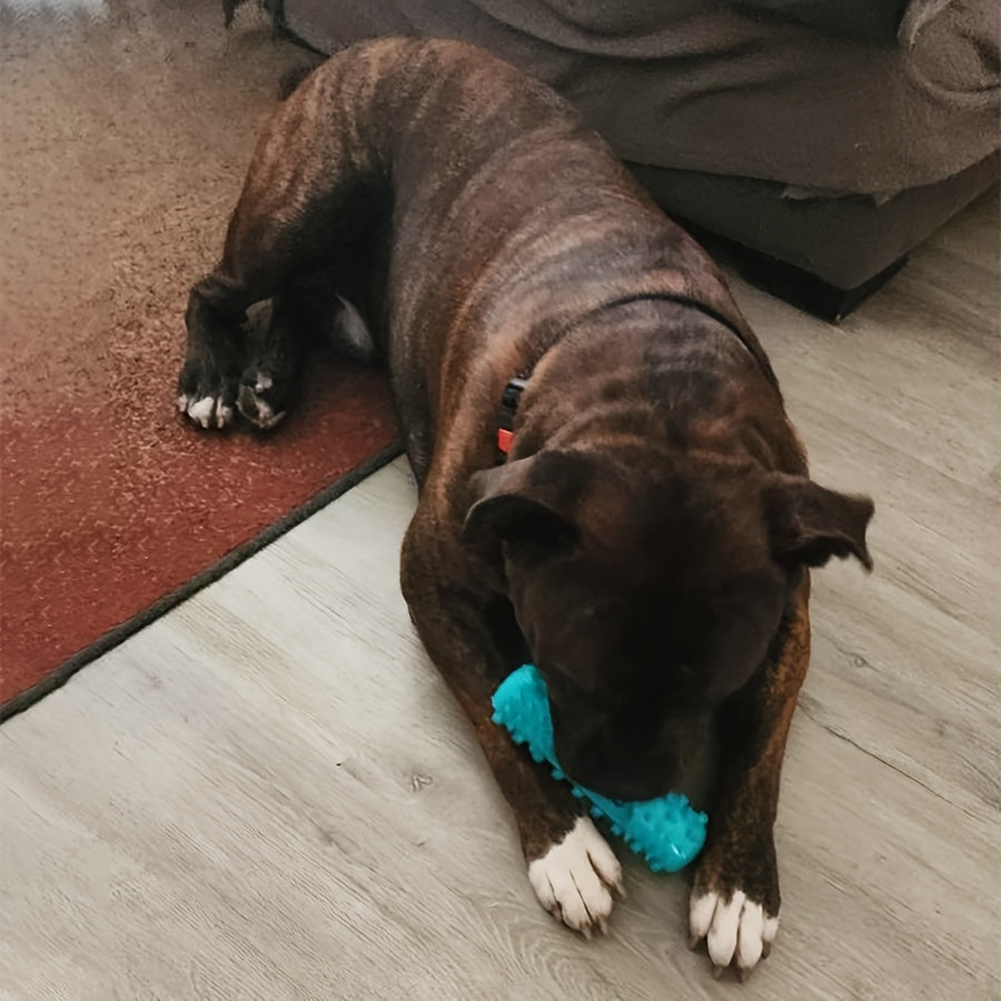 Bâton à mâcher pour chien – Nettoyage des dents – photo produit 8