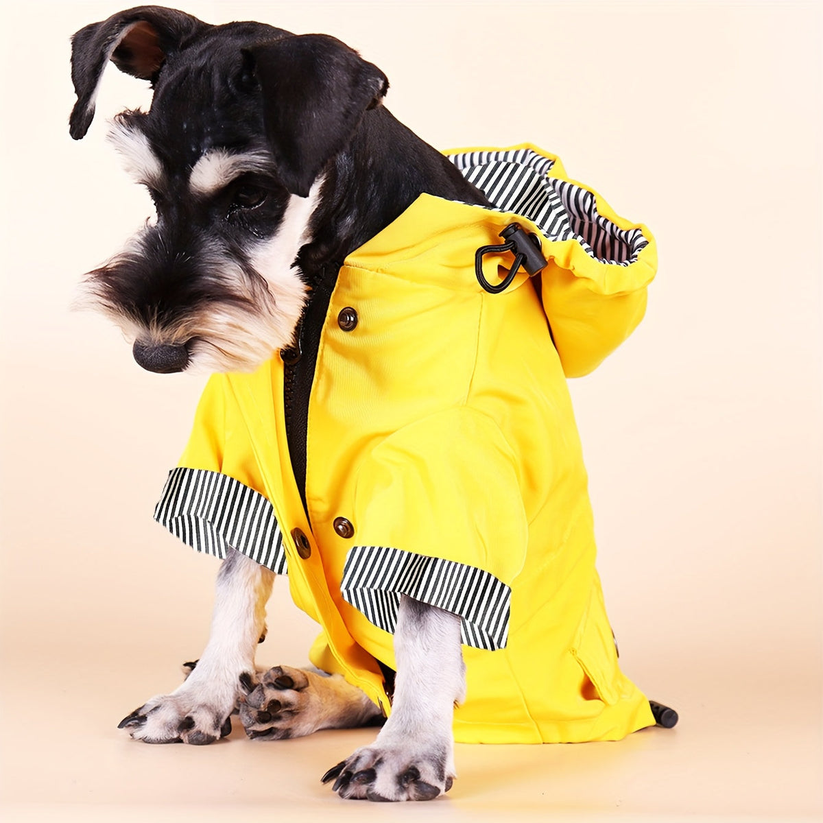 Veste imperméable rayée – Petit chien – photo produit 5