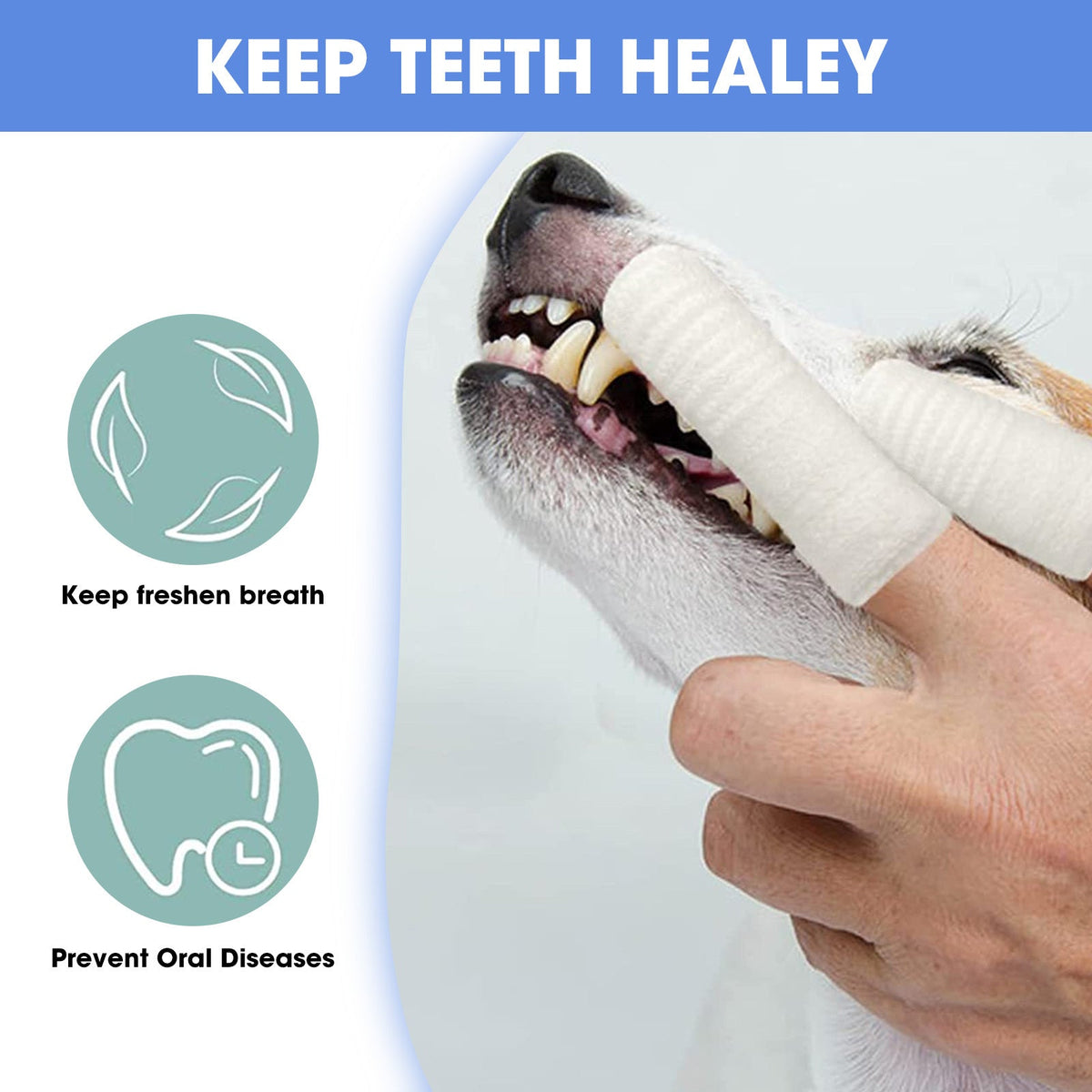 Brosses à dents doigt – Lot de 12 pour chien – photo produit 4