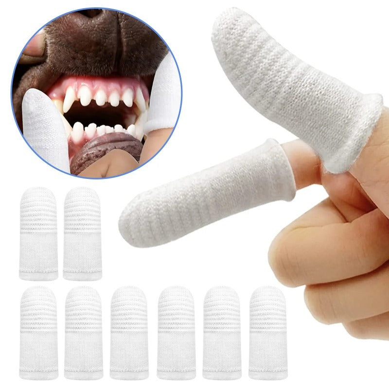 Brosses à dents doigt – Lot de 12 pour chien – vue principale