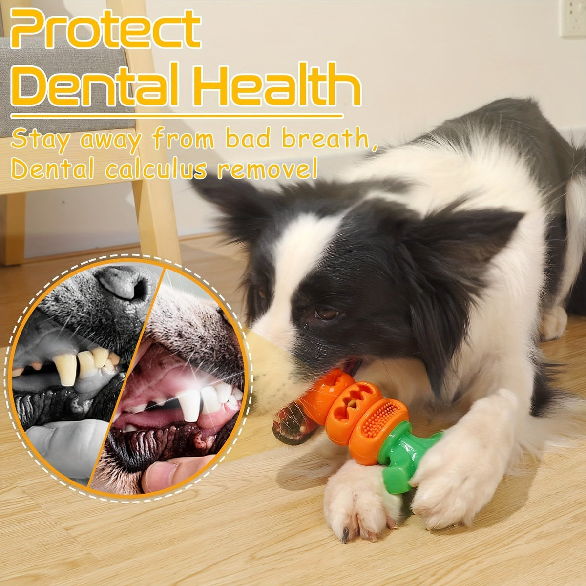 Carotte à mâcher pour chien – Résistante & dentaire – photo produit 11