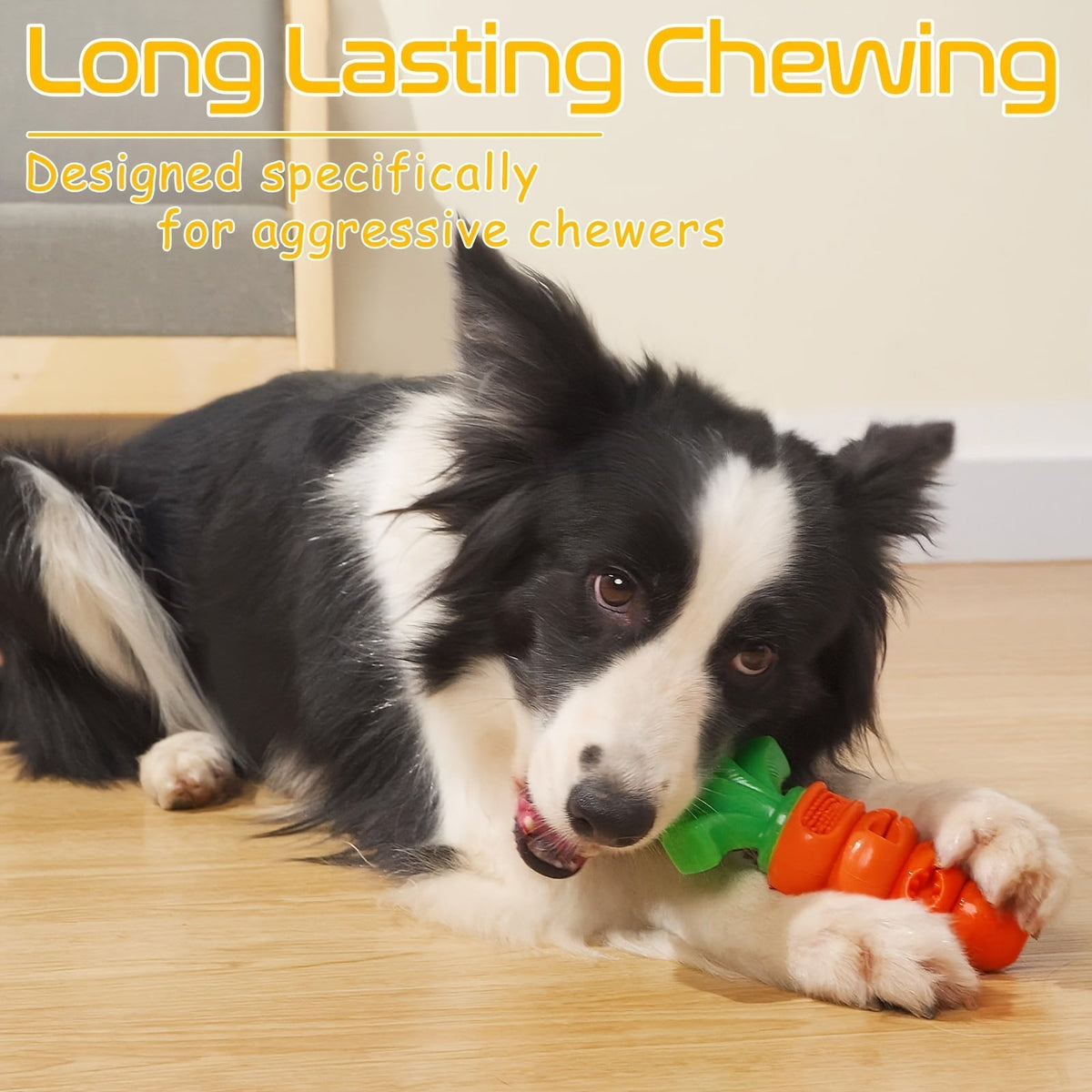 Carotte à mâcher pour chien – Résistante & dentaire – photo produit 10