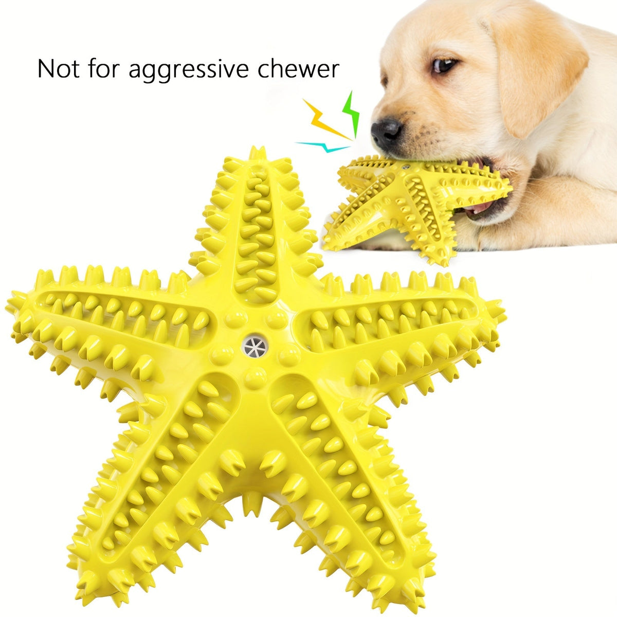 Étoile de mer sonore pour chien – Jouet à mâcher – photo produit 11