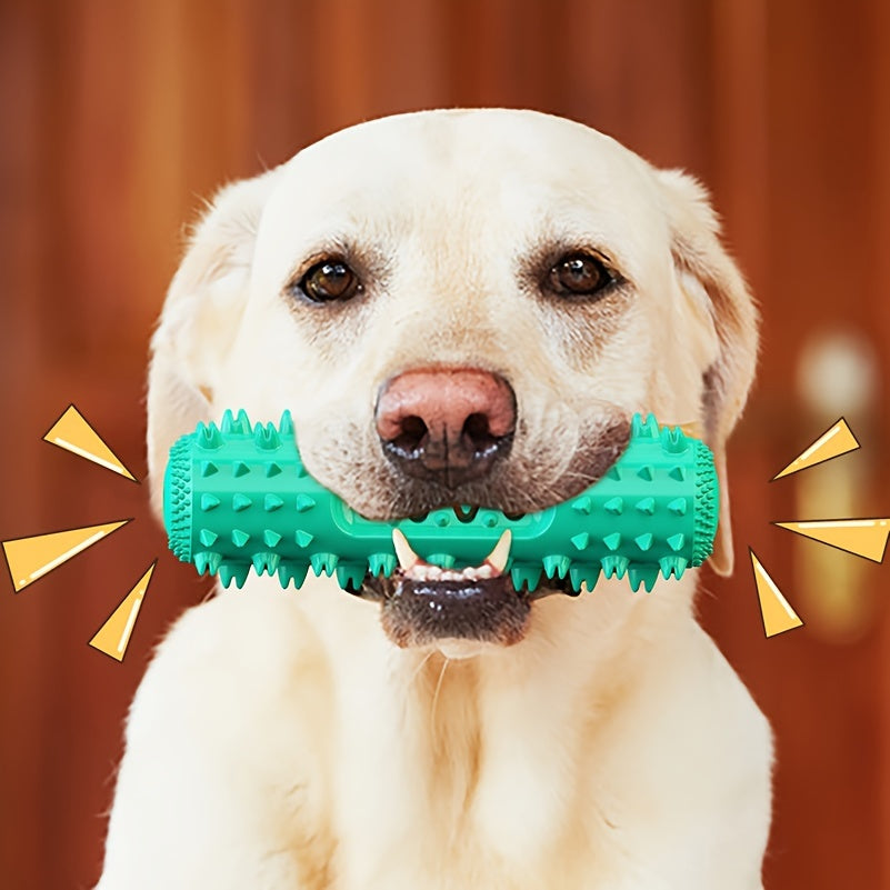 Bâton à mâcher pour chien – Nettoyage des dents – photo produit 3