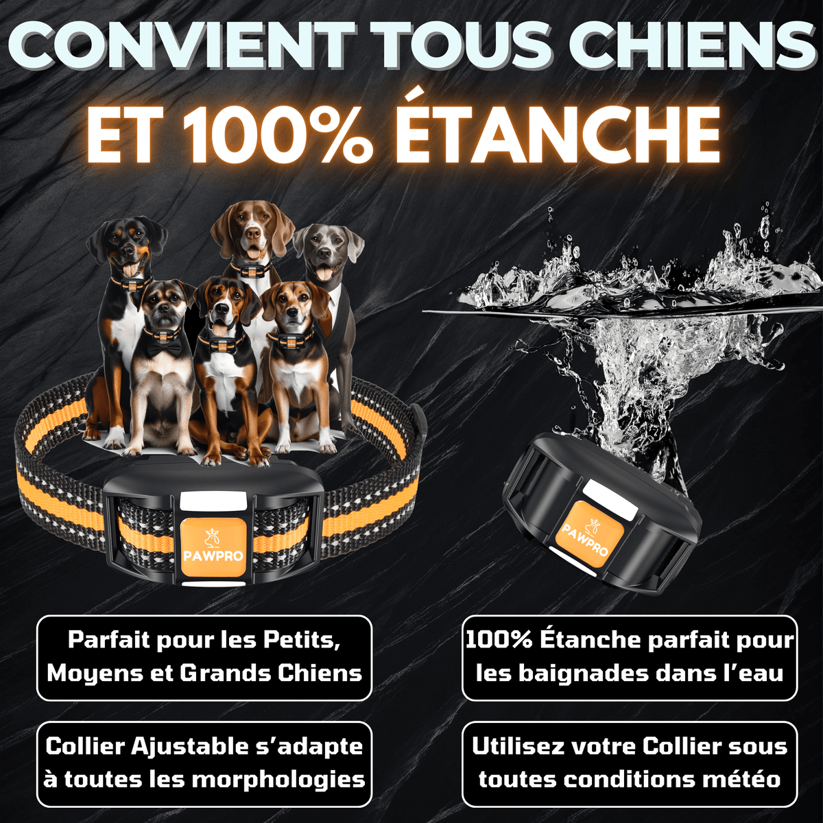Collier de dressage PAWPRO – Télécommande longue portée – photo produit 5