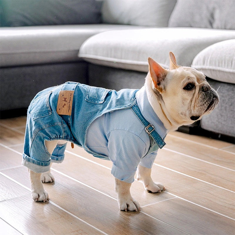 Combinaison simili-denim – Bouledogue français – photo produit 3