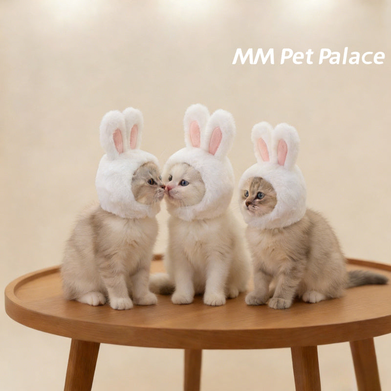 Bonnet lapin pour chat – Costume de Pâques – photo produit 4