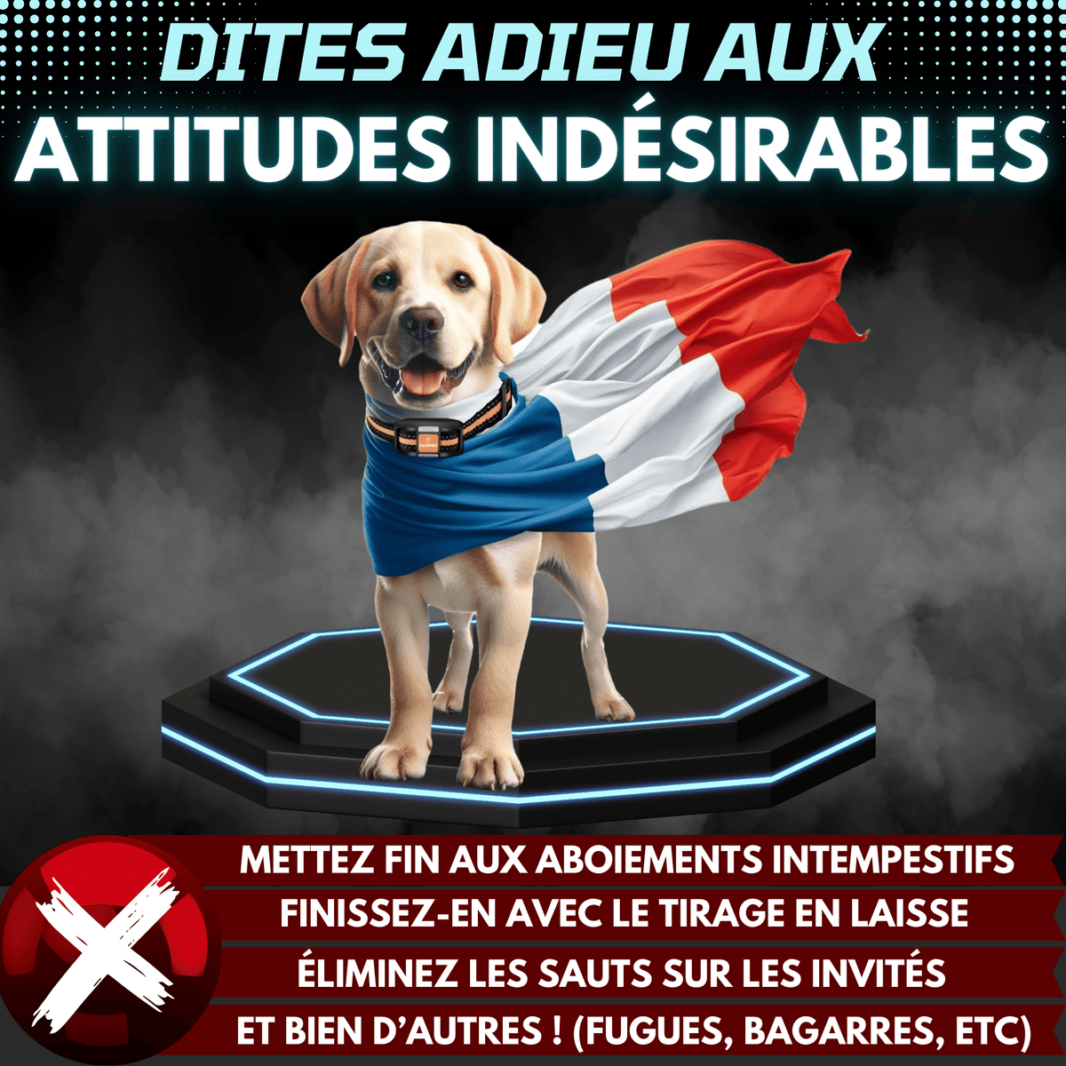 Collier de dressage PAWPRO – Télécommande longue portée – photo produit 2