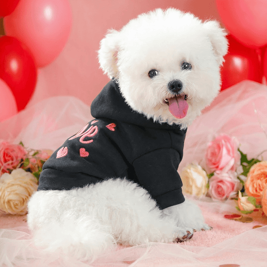 Sweat à capuche noir pour chien avec motif de petits cœurs rose et inscription LOVE, anneau intégré pour partir en balade, bien chaud