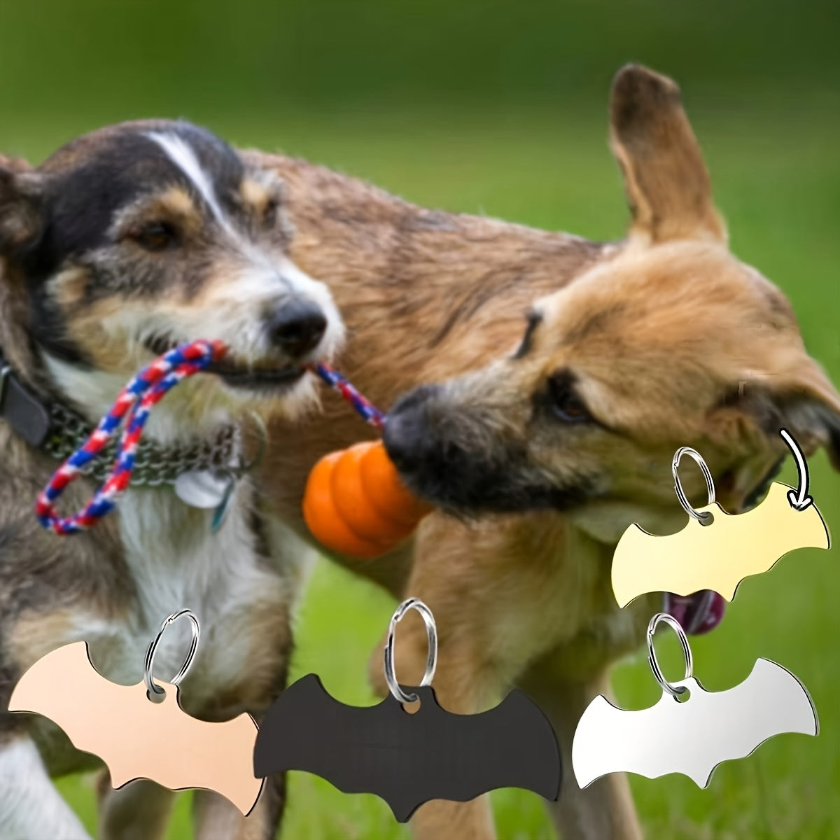 Médaille chauve-souris personnalisable – Chien & chat – photo produit 3