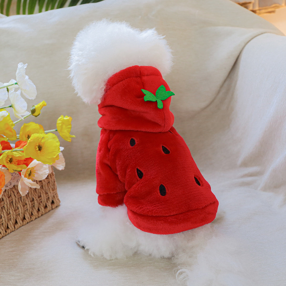 Costume fraise – Sweat à capuche chaud – photo produit 6