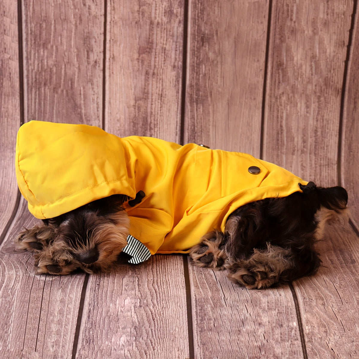 Veste imperméable rayée – Petit chien – photo produit 8
