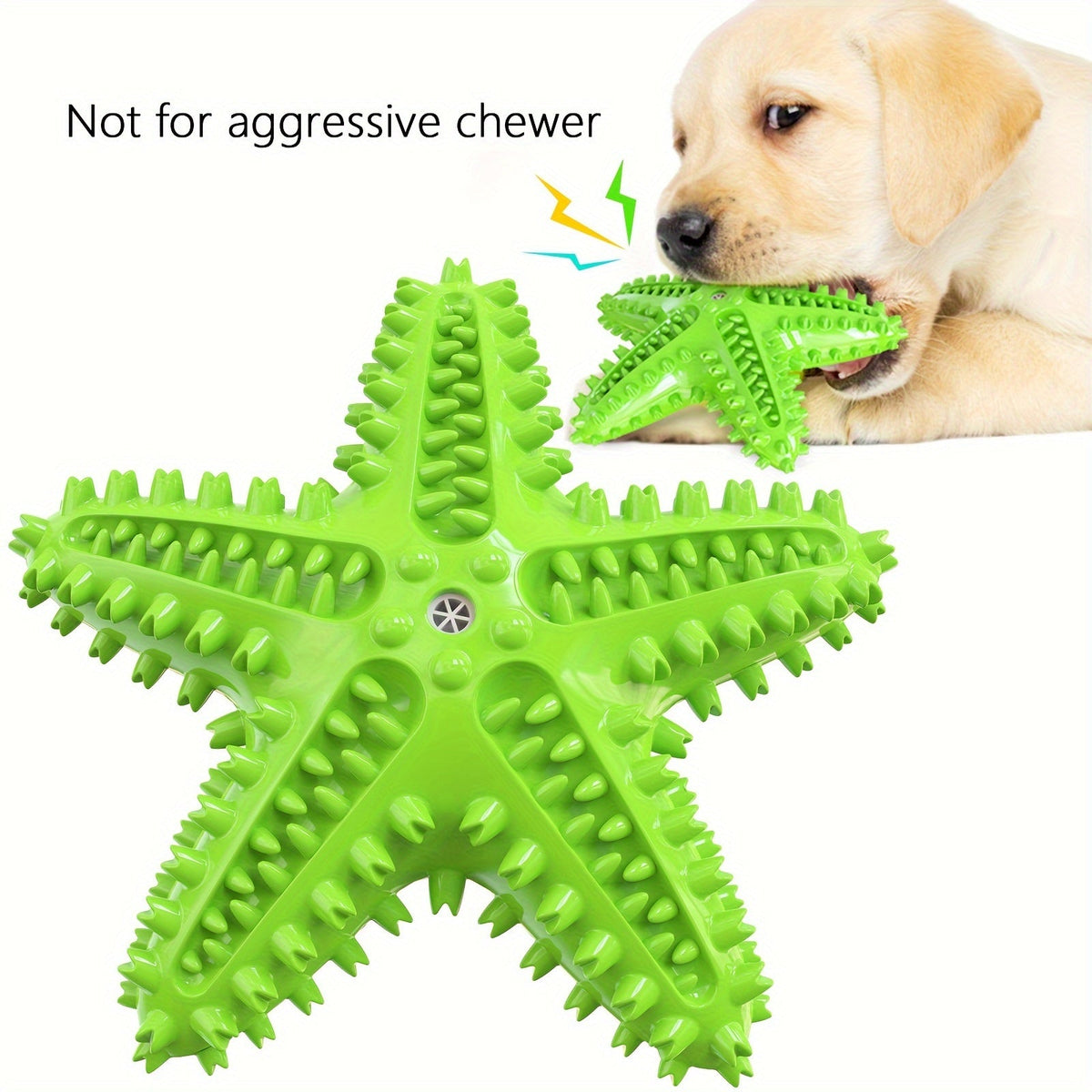 Étoile de mer sonore pour chien – Jouet à mâcher – photo produit 12
