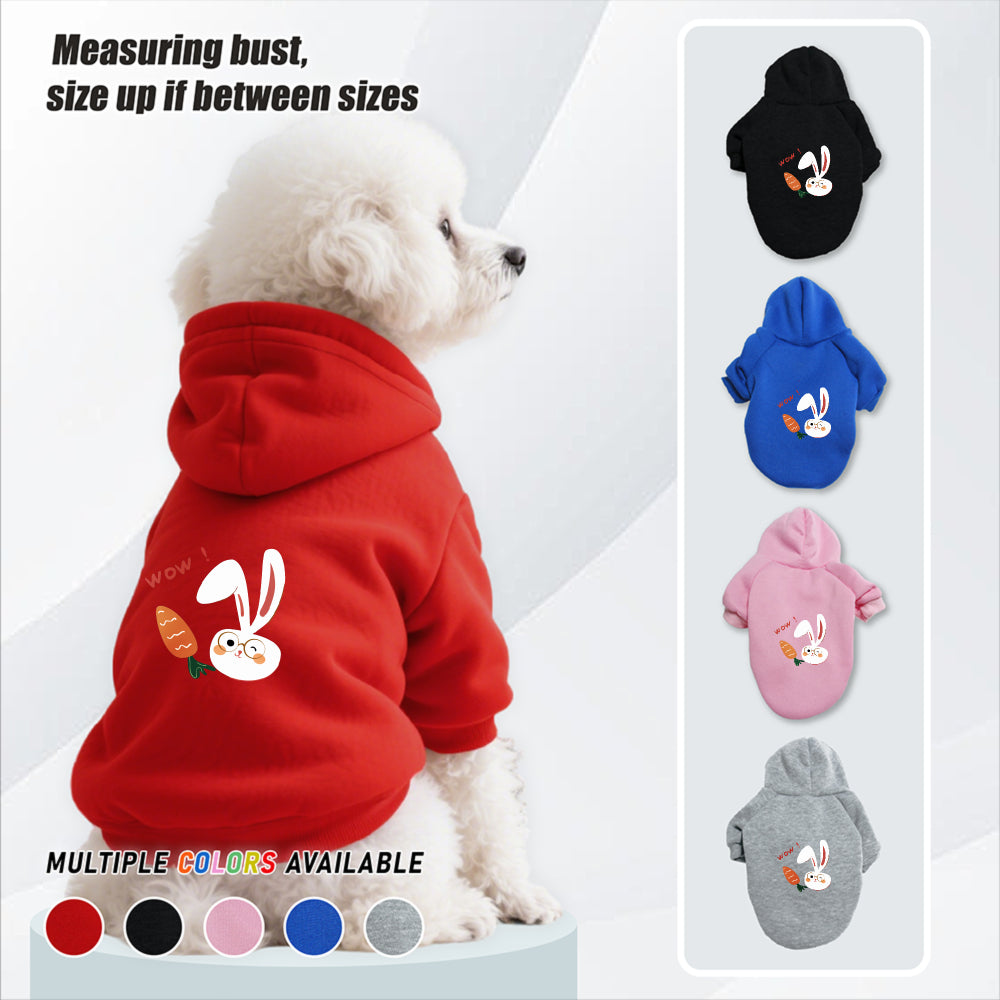 Sweat lapin & carotte – Capuche pour chien – vue principale