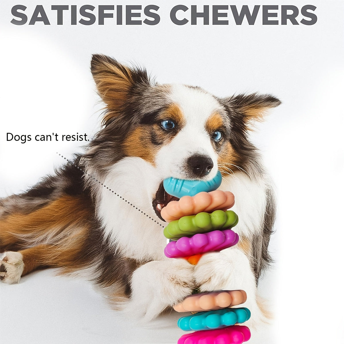Os à mâcher dentaire – Petit chien & chiot – photo produit 6