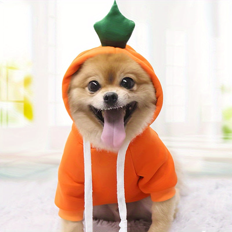 Costume fruit & légume – Carotte, tomate ou banane – photo produit 7