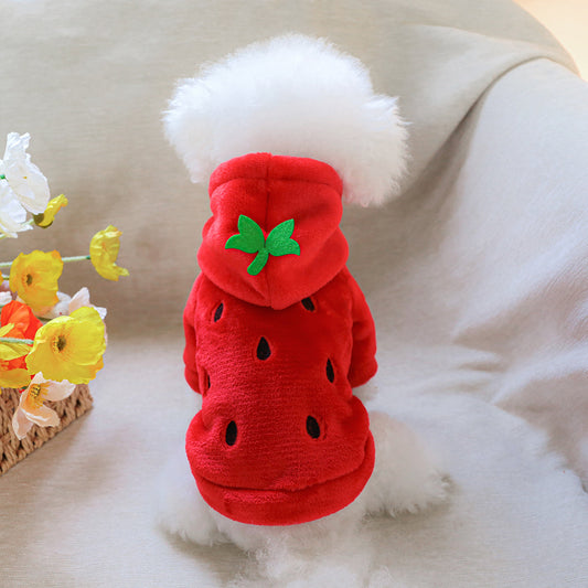 Costume fraise – Sweat à capuche chaud – photo produit 2