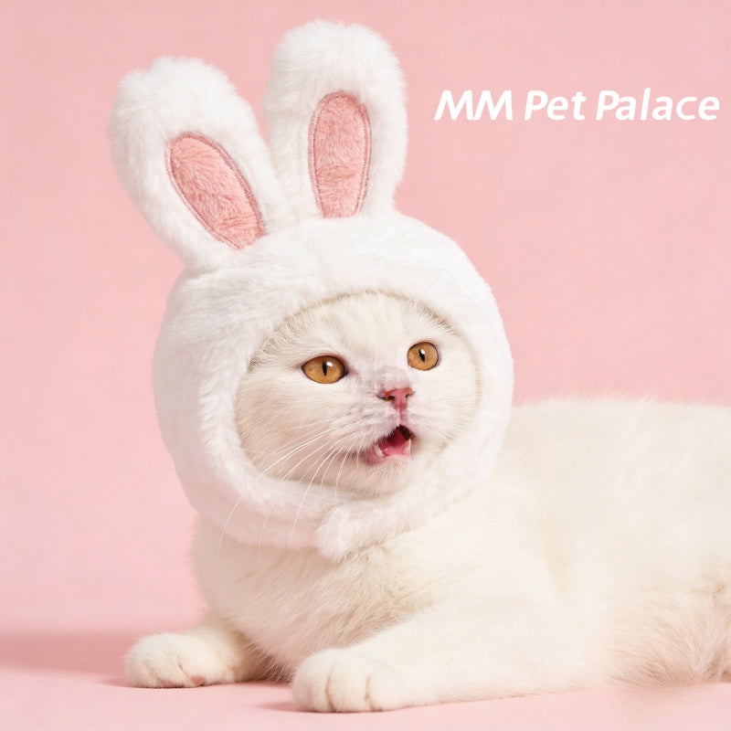 Bonnet lapin pour chat – Costume de Pâques – vue principale