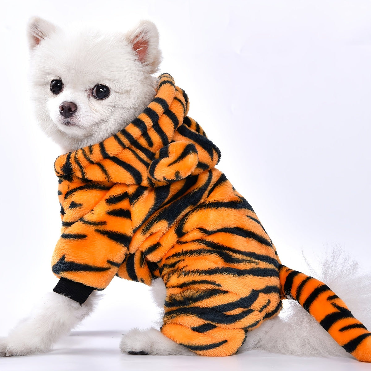 Costume tigre – Petit & moyen chien – vue principale