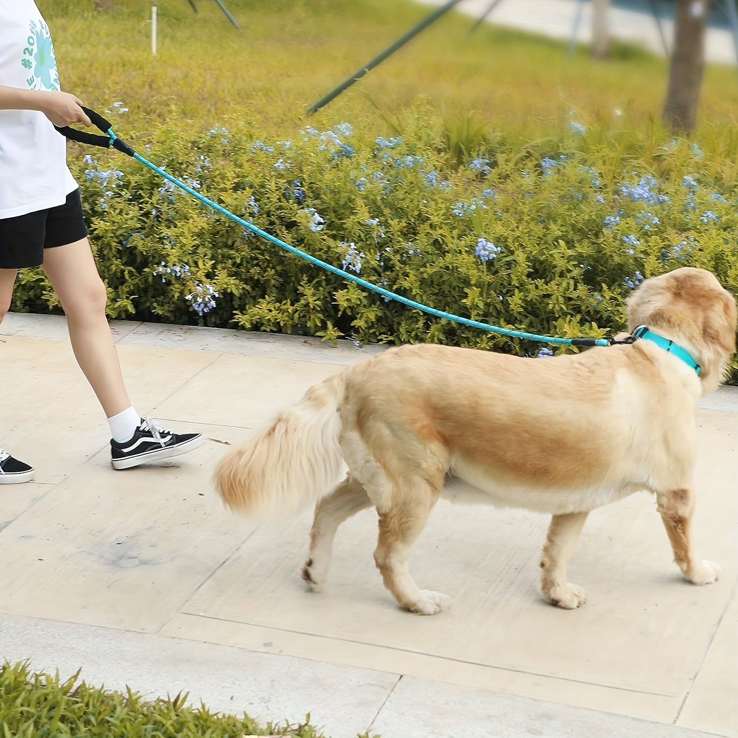 Dog Nylon Leash Lengthened And Reflective Round Rope Small And Medium Cats Dogs Leash Pet Traction Rope