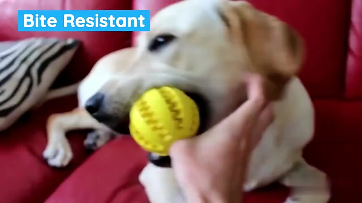 Balle interactive pour chien – Distributeur de friandises – photo produit 8