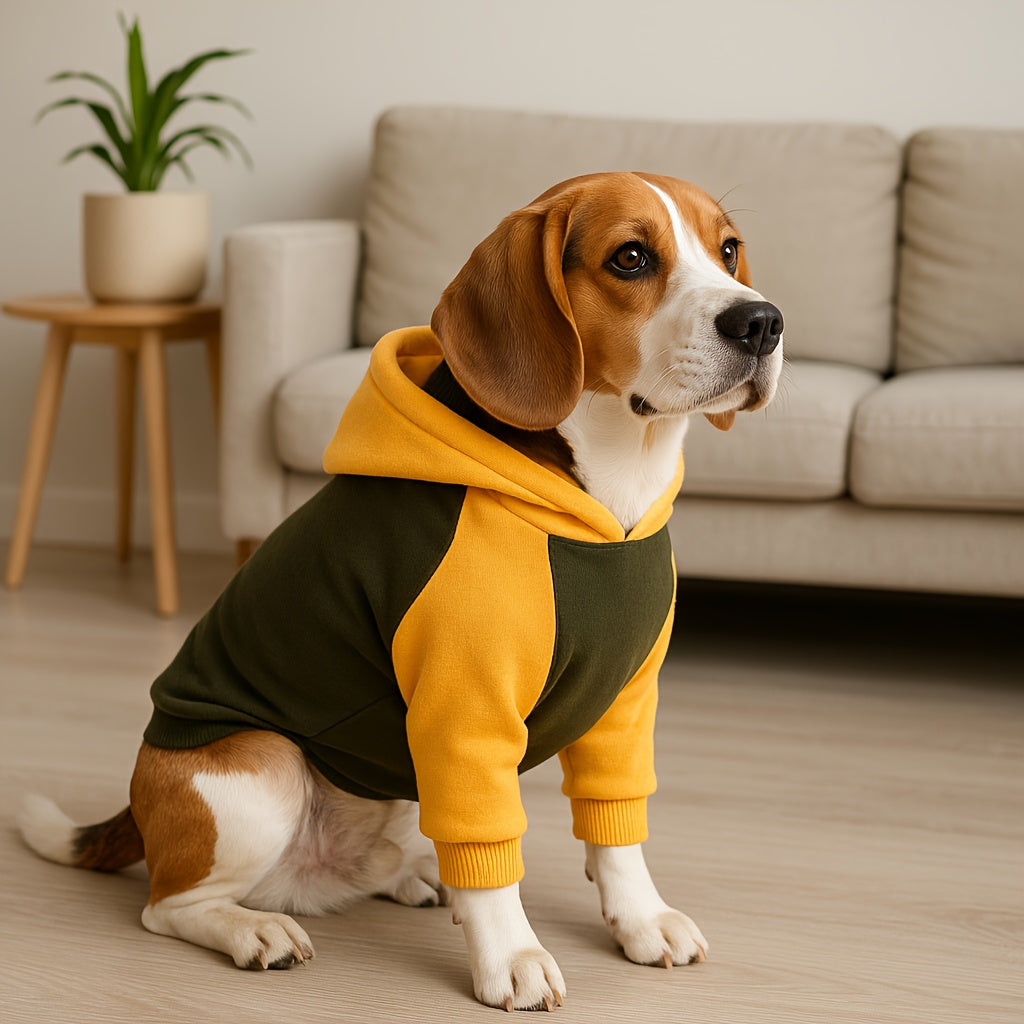 Sweat classique à capuche & poches – Chien – photo produit 6