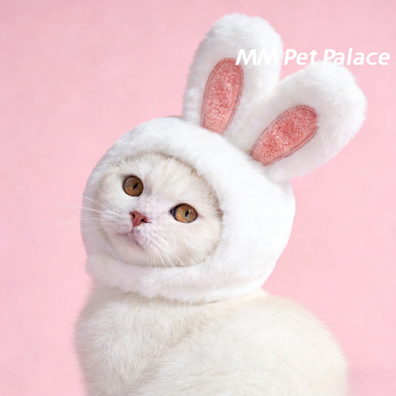 Bonnet lapin pour chat – Costume de Pâques – photo produit 3