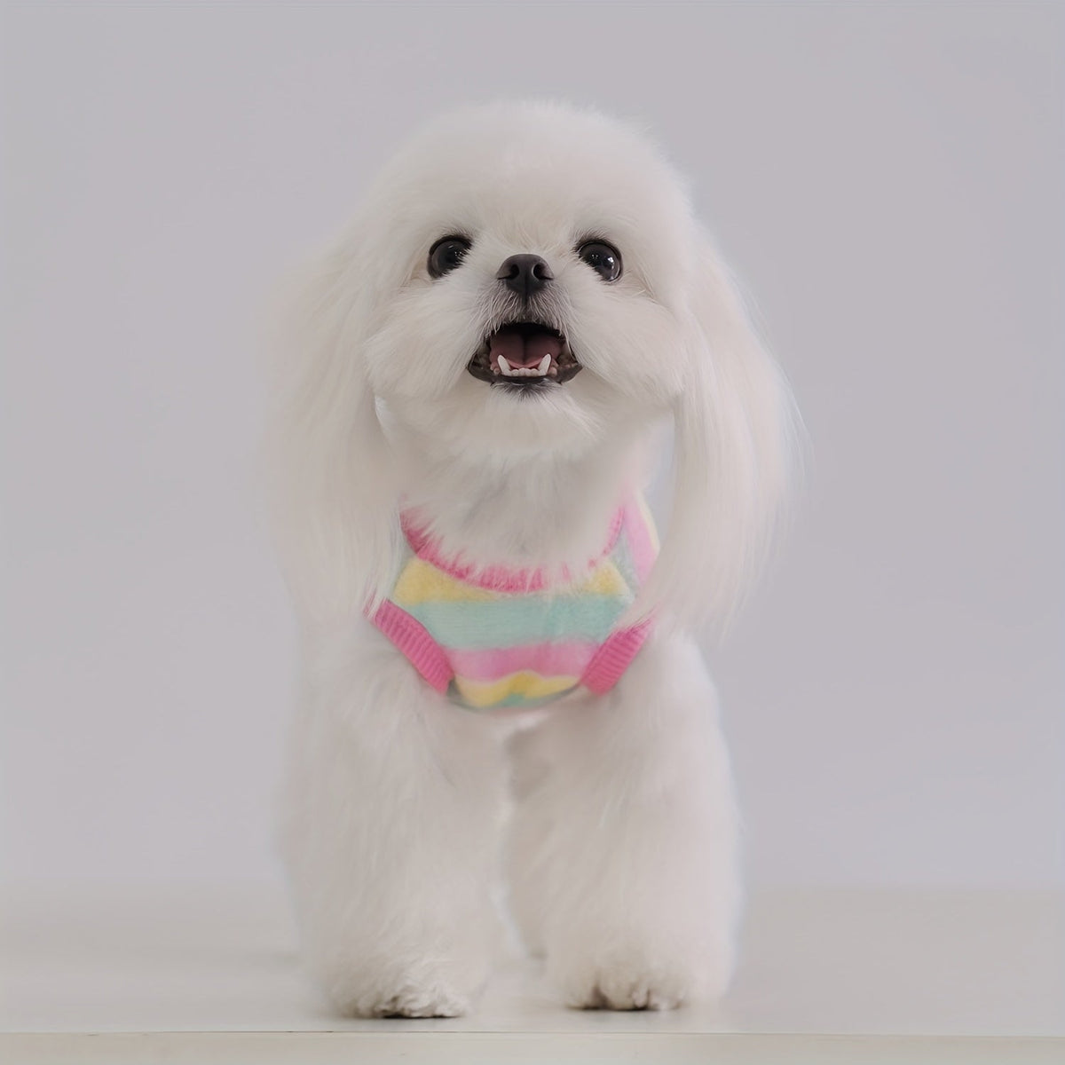 Gilet polaire à motifs animaux – Petit chien – photo produit 11