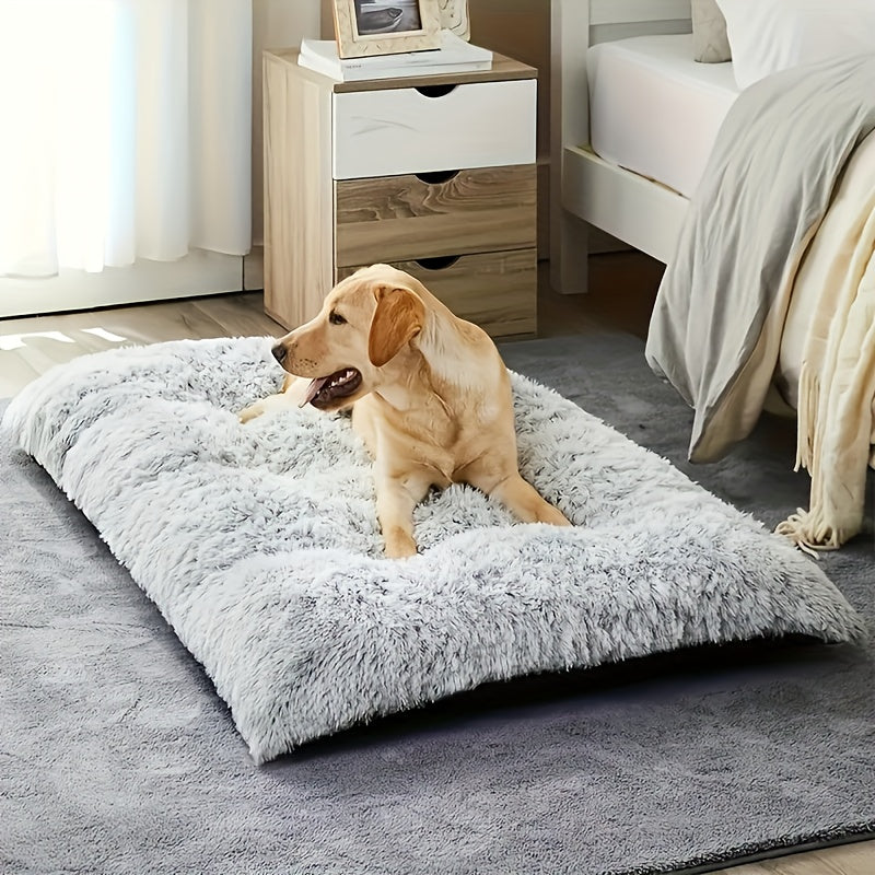 Lit extra-large à poils longs – Chien & chat – vue principale
