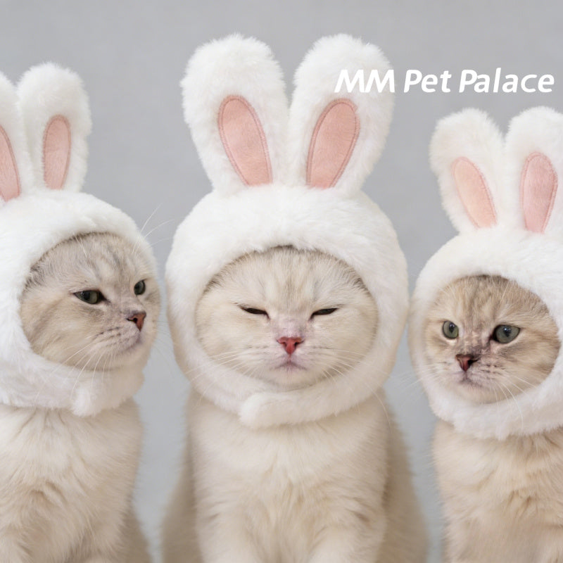 Bonnet lapin pour chat – Costume de Pâques – photo produit 7