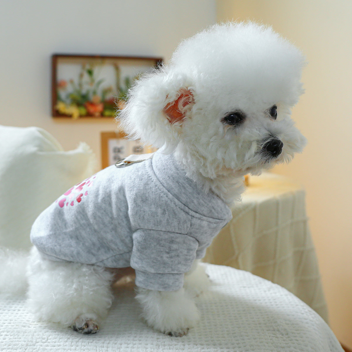 Pull gris à petits cœurs – Anneau pour laisse – photo produit 3
