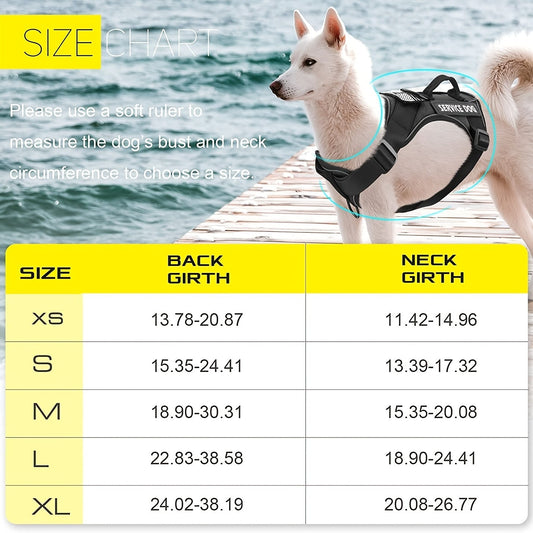Harnais réfléchissant pour chien – Bandes personnalisables – photo produit 2