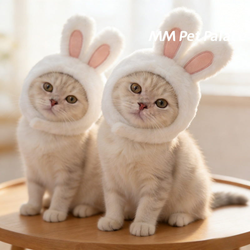 Bonnet lapin pour chat – Costume de Pâques – photo produit 6