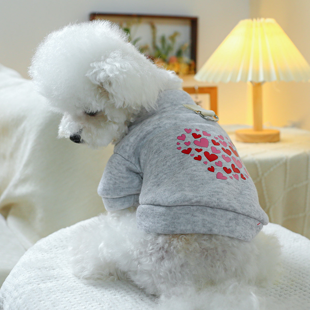 Pull gris à petits cœurs – Anneau pour laisse – photo produit 10